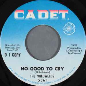The Wildweeds - No Good To Cry album cover