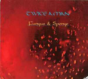 Twice A Man - Fungus & Sponge (A Dreamlike Exspansion In The Audiofield)