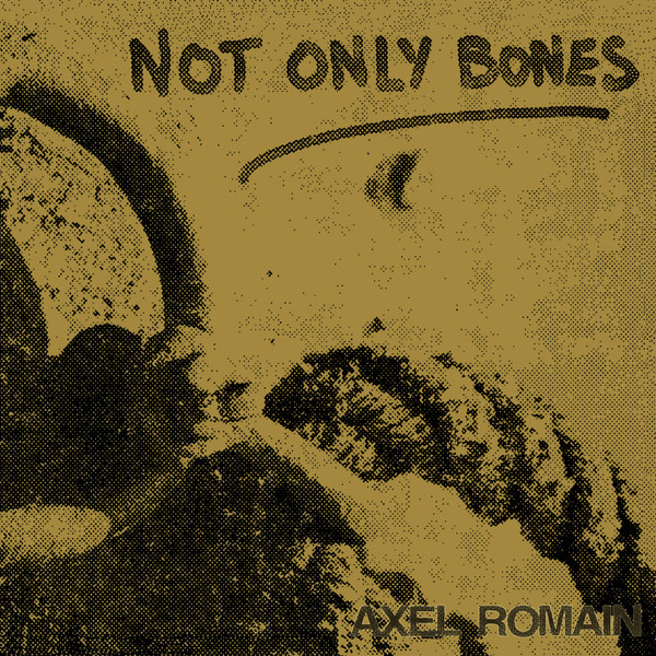 Album herunterladen Not Only Bones - Axel Romain