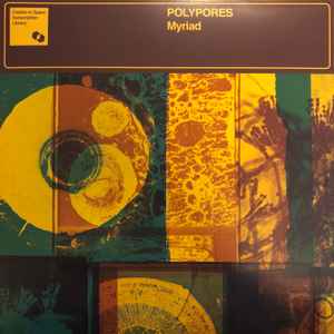 Myriad - Polypores