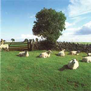 Chill Out - The KLF