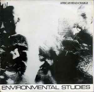 Environmental Studies - African Head Charge