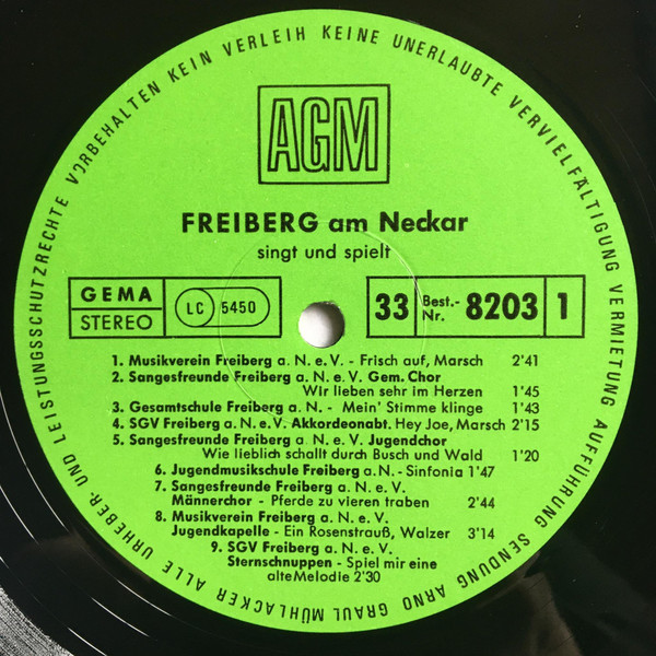 baixar álbum Various - Freiberg Am Neckar Singt Und Spielt