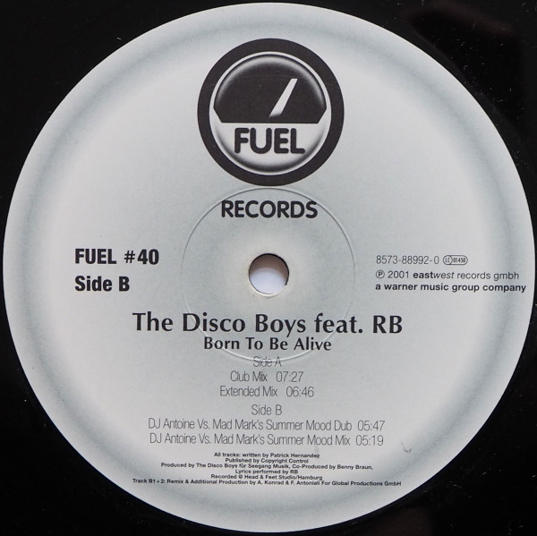 télécharger l'album The Disco Boys Feat RB - Born To Be Alive