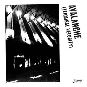 Boys Noize - Avalanche (Terminal Velocity) album cover