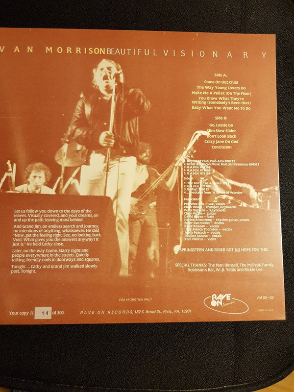Album herunterladen Van Morrison - Beautiful Visionary
