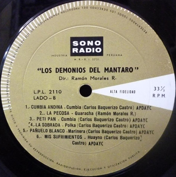 descargar álbum Los Demonios Del Mantaro - Los Demonios Del Mantaro
