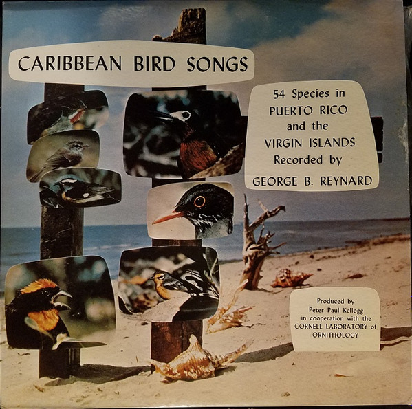 descargar álbum No Artist - Caribbean Bird Songs 54 Species In Puerto Rico And The Virgin Islands