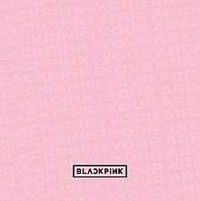Blackpink – Blackpink In Your Area (2018, Jisoo Ver., Memory Stick 