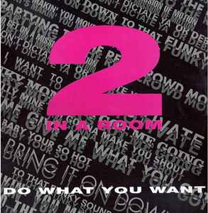 2 In A Room - Do What You Want album cover