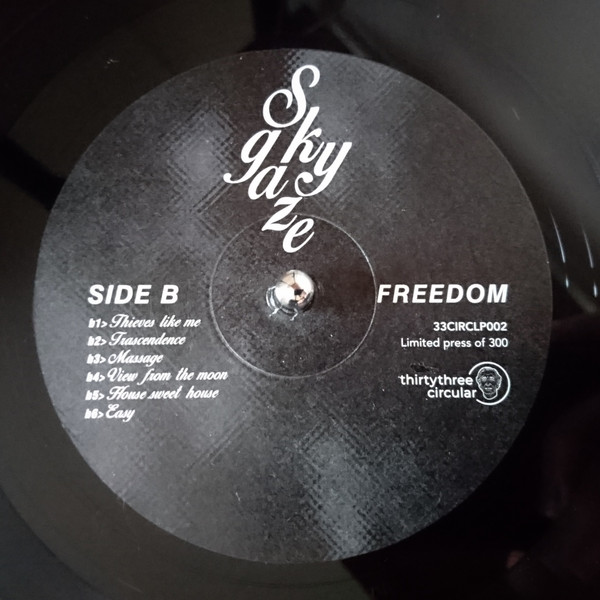 Skygaze - Freedom | thirtythree circular (33CIRCLP002) - 4