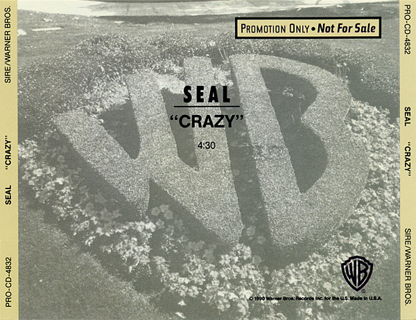 CRAZY (TRADUÇÃO) - Seal 