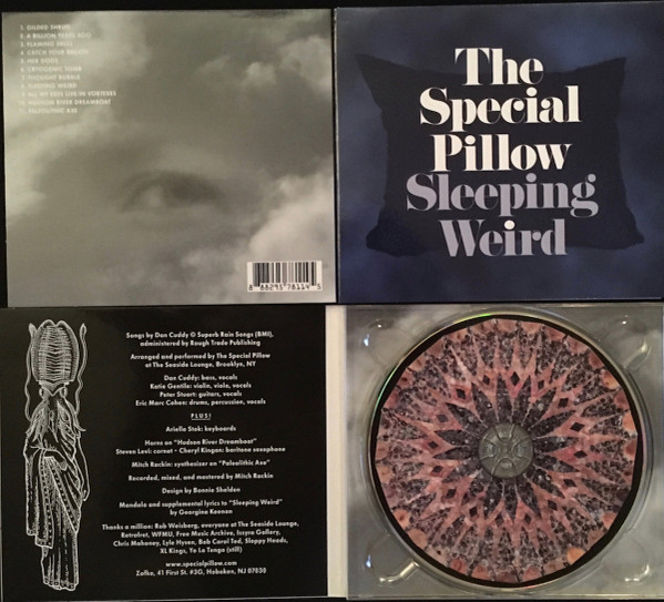 last ned album The Special Pillow - Sleeping Weird