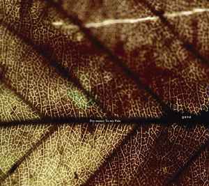 Pay Money To My Pain – gene (2013, Digipak , CD) - Discogs