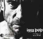 Iggy pop sum 41 2025 little know it all перевод