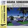 Niagara Fall Of Sound Orchestral - Niagara Songbook 2