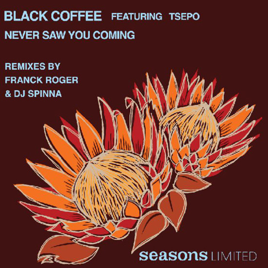 ladda ner album Black Coffee Featuring Tsepo - Never Saw You Coming