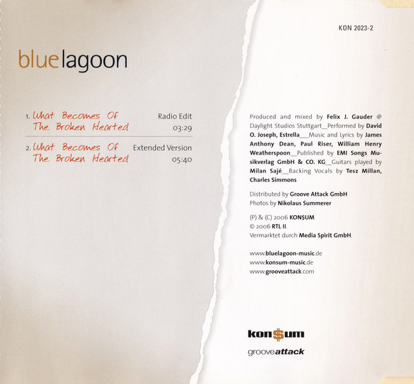 Album herunterladen bluelagoon - What Becomes Of The Broken Hearted