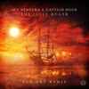 Ace Ventura & Captain Hook (6) - The Jolly Roger (Pop Art Remix)