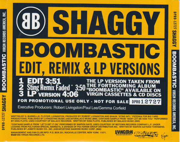 Shaggy - Boombastic - Tradução 