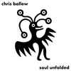 Chris Ballew - Soul Unfolded