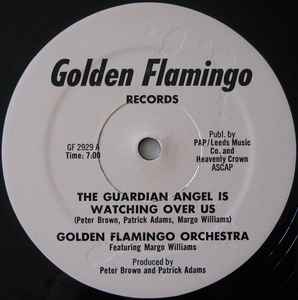 Golden Flamingo Orchestra - The Guardian Angel Is Watching Over Us album cover