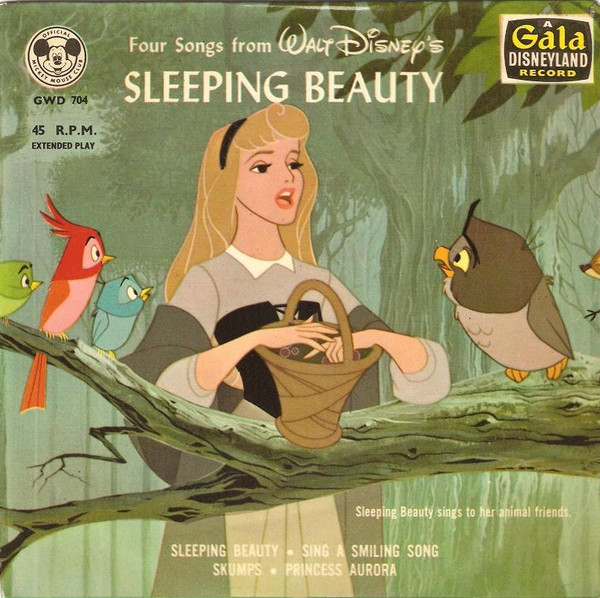 VANDOR, DISNEY Sleeping Beauty 18 oz