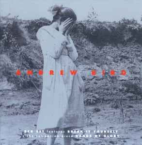 Andrew Bird - Break It Yourself / Hands of Glory album cover