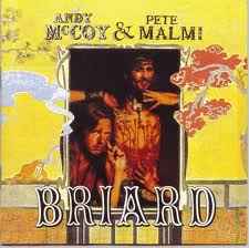 Briard - Andy McCoy & Pete Malmi album cover