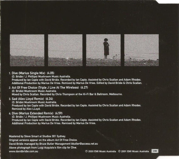 last ned album David Bridie - Dive