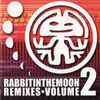 Rabbit In The Moon - Rabbit In The Moon Remixes • Volume 2