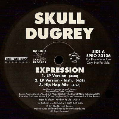 再再販 skull dugrey goodlum fo life 2lp - レコード