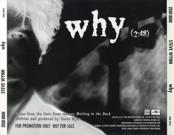 lataa albumi Steve Wynn - Why