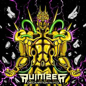 Ruinizer - Decimation In H​.​D. album cover