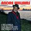 Andre Williams (2) - I Wanna Go Back To Detroit City