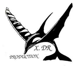 X-DR Production