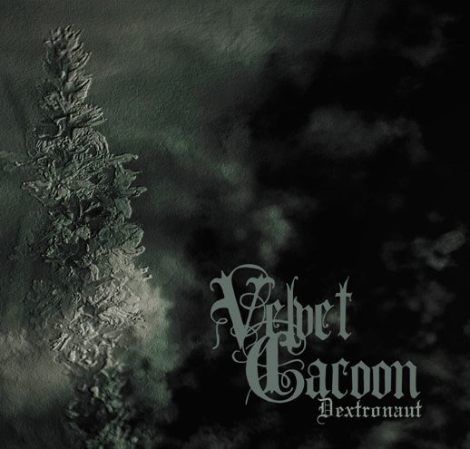 Velvet Cacoon Dextronaut 2011 Clear Vinyl Discogs