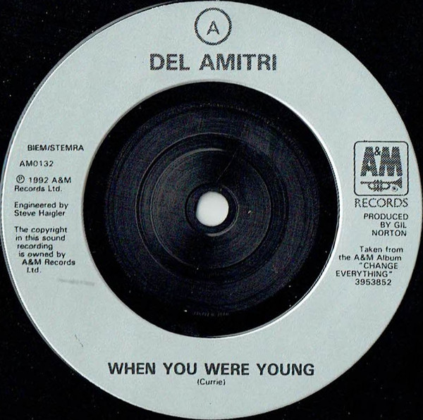 last ned album Del Amitri - When You Were Young