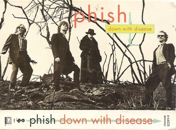 descargar álbum Phish - Down With Disease