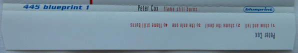 Album herunterladen Peter Cox - Flames Still Burns