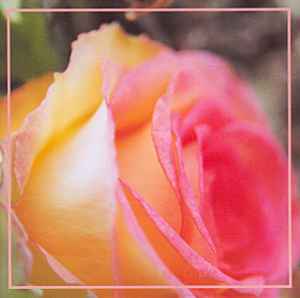 Mathias Grassow - The Fragrance Of Eternal Roses
