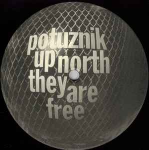 Gerhard Potuznik - Up North They Are Free album cover