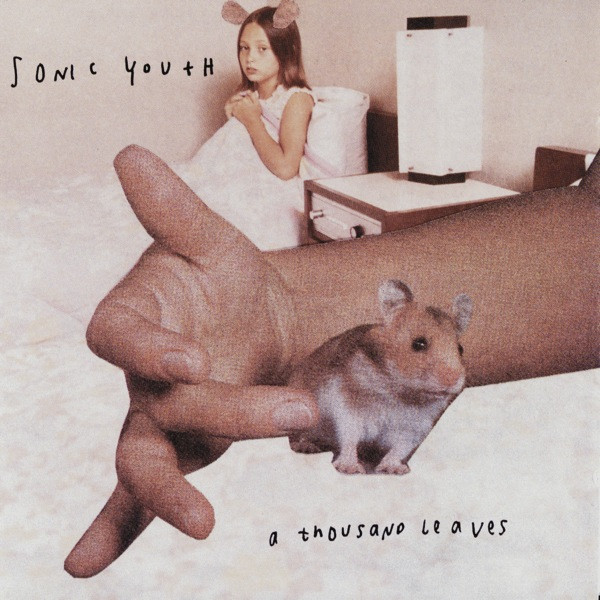 Sonic Youth – A Thousand Leaves (1998, CD) - Discogs