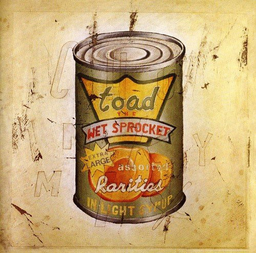 Toad The Wet Sprocket – In Light Syrup (1995, CD) - Discogs