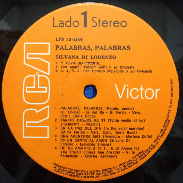last ned album Silvana Di Lorenzo - Palabras Palabras