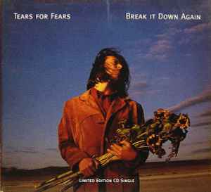 Tears For Fears - Break It Down Again album cover