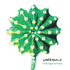 lataa albumi Alisu - Fotogramas