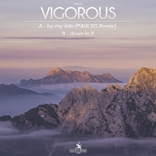 ladda ner album Vigorous - By My Side Remix Down To It