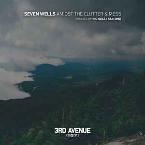 Seven Wells - Amidst The Clutter & Mess album cover