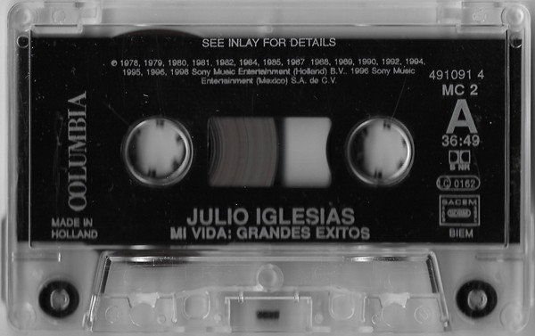 ladda ner album Julio Iglesias - Mi Vida Grandes Éxitos